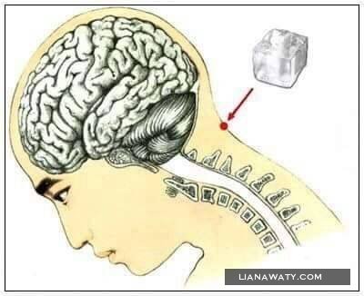  Keajaiban Meletakkan Es Batu di Tengkuk Leher